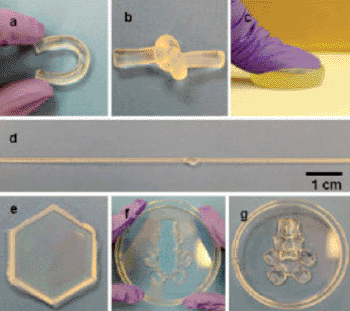 Image: Agar/PAM DN hydrogels show extraordinary mechanical and free-shapeable properties: (a) bending; (b) knotting; (c) compression; (d) (stretching); (e) hexagon; (f) teddy bear gel under compression; and (g) teddy bear gel after force release (Photo courtesy of Qiang Chen and Chao Zhao).